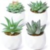 550x550-21760.jpg Unyqoos® Set van Vier Kleine Kunstplanten in Keramische Pot voor Diverse Ruimtes, groente, 10 cm , 4 stuks