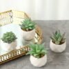550x550-21762.jpg Unyqoos® Set van Vier Kleine Kunstplanten in Keramische Pot voor Diverse Ruimtes, groente, 10 cm , 4 stuks