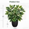 Unyqoos® Decoratieve kunstplant ficus in pot voor elke ruimte en interieurstijl
