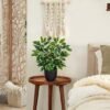 Unyqoos® Decoratieve kunstplant ficus in pot voor elke ruimte en interieurstijl