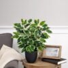 Unyqoos® Decoratieve kunstplant ficus in pot voor elke ruimte en interieurstijl