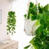 Unyqoos® Decoratieve kunstklimop in keramische pot met handgemaakte macraméhanger