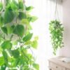 Unyqoos® Decoratieve kunstklimop in keramische pot met handgemaakte macraméhanger
