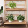 Unyqoos® Set van drie realistische kunstplanten voor elk interieur in potten