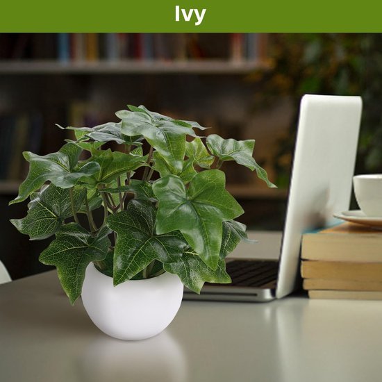 Unyqoos® Set van drie realistische kunstplanten voor elk interieur in potten