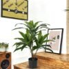 Unyqoos® Grote kunstplant Dracaena Fragans in pot voor stijlvolle interieurdecoratie, groente, 90 cm