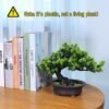550x550-22175.jpg Unyqoos® Levensechte decoratieve bonsai-boom voor binnenhuis en kantoor inrichting