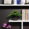 550x550-22178.jpg Unyqoos® Levensechte decoratieve bonsai-boom voor binnenhuis en kantoor inrichting
