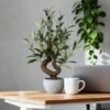 Unyqoos® Realistische kunstolijfboom in stenen pot voor stijlvolle interieurdecoratie