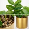 Unyqoos® Decoratieve kunstplanten in gouden pot voor huis en kantoor, groente, 30 cm