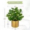 Unyqoos® Decoratieve kunstplanten in gouden pot voor huis en kantoor, groente, 30 cm