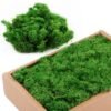 Unyqoos® Kunstmatig mos voor veelzijdige decoratieprojecten, 200 g donkergroen, onderhoudsvrij en
