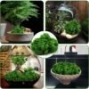 Unyqoos® Kunstmatig mos voor veelzijdige decoratieprojecten, 200 g donkergroen, onderhoudsvrij en
