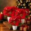 Unyqoos® Set van drie kunstkerststerren in elegante keramische pot voor feestelijke decoratie