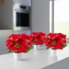 Unyqoos® Set van drie kunstkerststerren in elegante keramische pot voor feestelijke decoratie