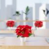 Unyqoos® Set van drie kunstkerststerren in elegante keramische pot voor feestelijke decoratie