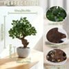 Unyqoos® Realistische kunstplant camelia in stijlvolle pot voor binnenhuisdecoratie