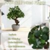 Unyqoos® Realistische kunstplant camelia in stijlvolle pot voor binnenhuisdecoratie