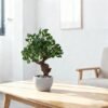 Unyqoos® Realistische kunstplant camelia in stijlvolle pot voor binnenhuisdecoratie