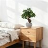 Unyqoos® Realistische kunstplant camelia in stijlvolle pot voor binnenhuisdecoratie