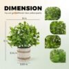 550x550-22333.jpg Unyqoos® Set van vier levensechte kunstplanten voor decoratie in huis en kantoor
