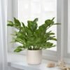 550x550-22335.jpg Unyqoos® Stijlvolle kunstplanten in pot voor decoratieve tafelaankleding en interieur, groente, 39 cm