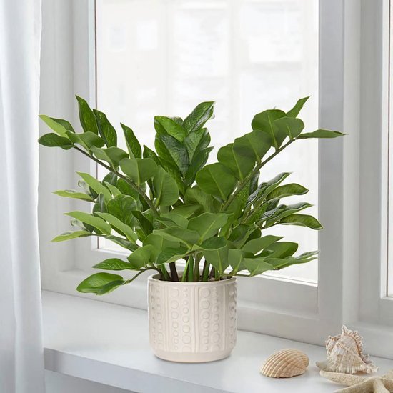 550x550-22335.jpg Unyqoos® Stijlvolle kunstplanten in pot voor decoratieve tafelaankleding en interieur, groente, 39 cm