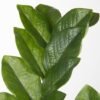 550x550-22336.jpg Unyqoos® Stijlvolle kunstplanten in pot voor decoratieve tafelaankleding en interieur, groente, 39 cm