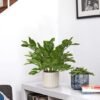 550x550-22337.jpg Unyqoos® Stijlvolle kunstplanten in pot voor decoratieve tafelaankleding en interieur, groente, 39 cm