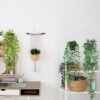Unyqoos® Set van drie decoratieve kunsthangplanten in pot voor interieur en buitenruimte