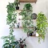 Unyqoos® Set van drie decoratieve kunsthangplanten in pot voor interieur en buitenruimte