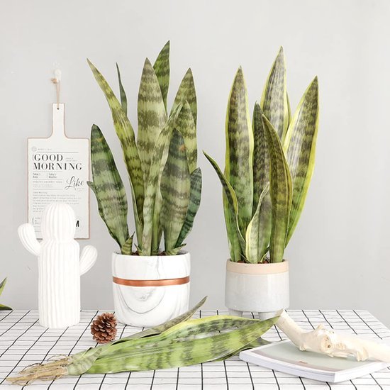 550x550-22357.jpg Unyqoos® Set van drie kunstplanten Sansevieria voor interieurdecoratie thuis en op kantoor