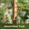 Unyqoos® Kunstplant van 150 cm met natuurlijk ogende houten stam en 273 bladeren voor binnen en buiten