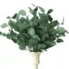 Unyqoos® Decoratieve Eucalyptus Bladeren voor Huis, Bruiloft en Feestelijke Arrangementen