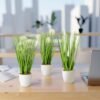 550x550-22392.jpg Unyqoos® Set van drie decoratieve kunstplanten in keramische pot voor binnengebruik
