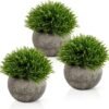 Unyqoos® Set van 3 levensechte decoratieve planten in potten voor elk interieur