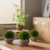 Unyqoos® Set van 3 levensechte decoratieve planten in potten voor elk interieur