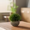 Unyqoos® Set van 3 levensechte decoratieve planten in potten voor elk interieur