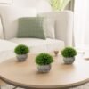 Unyqoos® Set van 3 levensechte decoratieve planten in potten voor elk interieur
