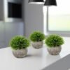 Unyqoos® Set van 3 levensechte decoratieve planten in potten voor elk interieur