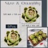 550x550-22876.jpg Unyqoos® Set van 6 Realistische Kunstmatige Artisjokken voor Decoratie en Styling