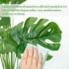 550x550-22899.jpg Unyqoos® Set van twee decoratieve kunstplanten Monstera met verstelbare bladeren en pot