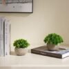 Unyqoos® Set van drie levensechte kunstplanten voor huis en kantoor decoratie