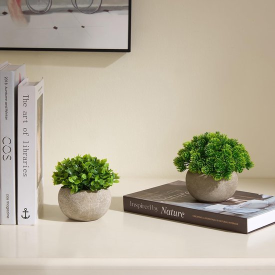 Unyqoos® Set van drie levensechte kunstplanten voor huis en kantoor decoratie