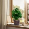 Unyqoos® Decoratieve kunstplant Monstera met stenen pot voor huisdecoratie