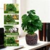 Unyqoos® Decoratieve kunstplant Monstera met stenen pot voor huisdecoratie