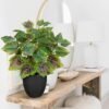 Unyqoos® Stijlvolle kunstplant met muntblad voor binnen en buiten decoratie