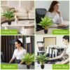 550x550-23045.jpg Unyqoos® Set van Twee Realistische Kunstplanten in Pot voor Diverse Binnenruimtes