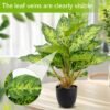 550x550-23047.jpg Unyqoos® Set van Twee Realistische Kunstplanten in Pot voor Diverse Binnenruimtes