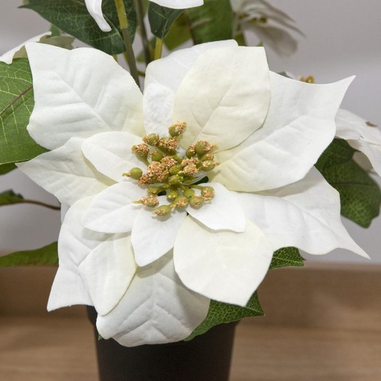 Unyqoos® Realistisch ogende witte kerstster in pot voor feestelijke decoratie